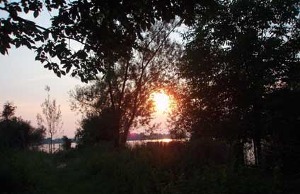 Ein Sonnenuntergang verdeckt durch Büsche an einem See
